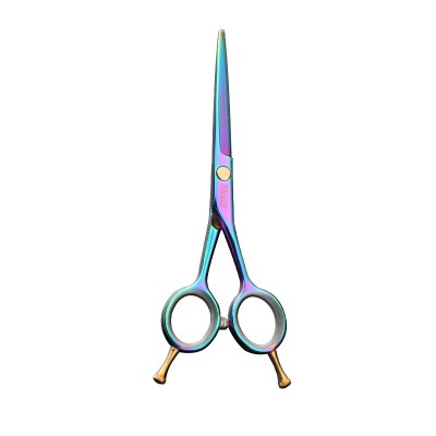 Professional 5.5 inch 4CR stainless steel Hair Scissors Hairdressing Scissors  Hair Cutting Scissors