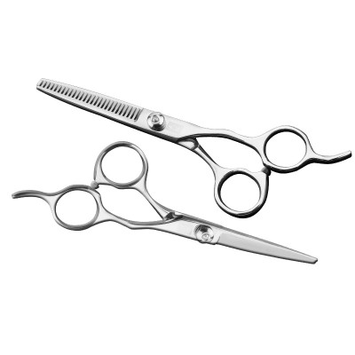 5.5 Inch Professional Cutting and Thinning Shears Salon Set Scissors